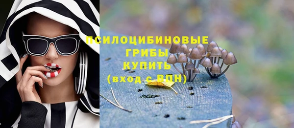МДПВ Нефтегорск