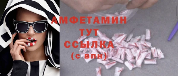 гашик Нефтекумск