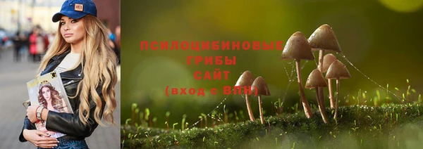 гашик Нефтекумск