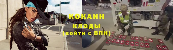 дмт Нея