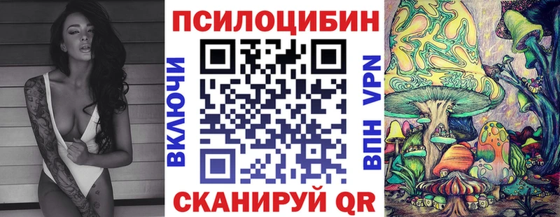 наркота  блэк спрут как войти  Галлюциногенные грибы Psilocybine cubensis  Рошаль 